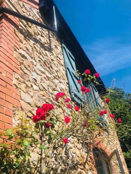 Burleyhayes Barn - Secluded Devon Hideaway. Villa Hemyock Exterior photo